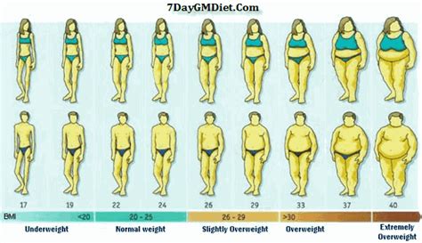 gm diet ideal weight chart  men women