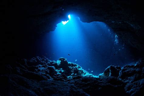 video shows  deep  ocean      blow  mind