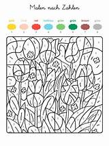 Zahlen Nach Kindergarten Kinder Ostern Tulpen Pixel sketch template