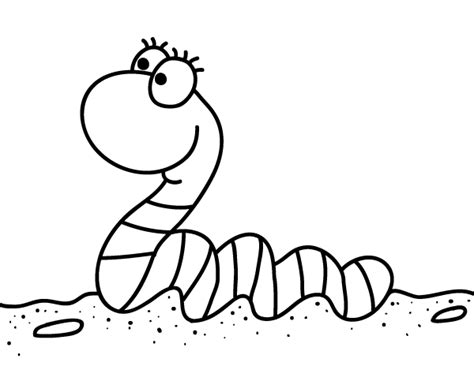 collection    beautiful worm coloring pages  kids