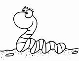 Worm Worms Wiggle Larva Museprintables Earthworm sketch template