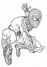 Spiderman Coloring Printable Pages Kids sketch template