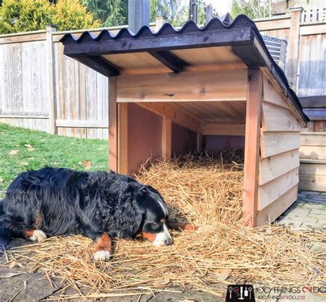 plans  build   dog house diy