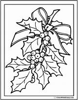 Coloring Holly Pages Getcolorings Christmas sketch template