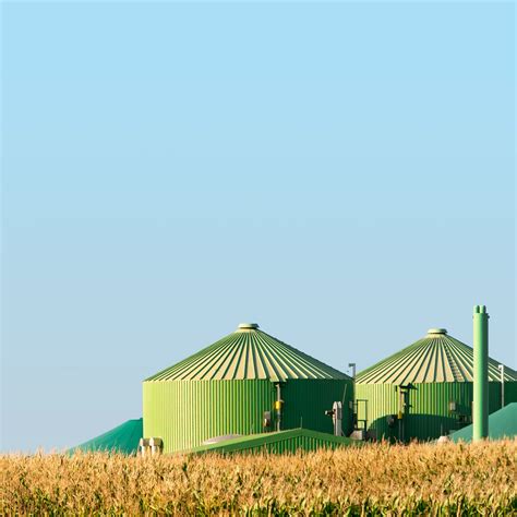 bioenergy fuels technologies iea