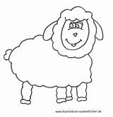 Schaf Schafe Ausmalbild Ausdrucken Malvorlage Malvorlagen Kinderbilder Kostenlos Thema sketch template