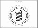Virus Measles Drawing Respiratory Syncytial Illustration Getdrawings Diagram Illustrations Drawings Included Following Toolkit sketch template