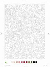 Coloring Color Number Extreme Numbers Adult Coloriage Paint Disney Printable Mystere Book Power Books Flower Printables Pages Childrencoloring sketch template