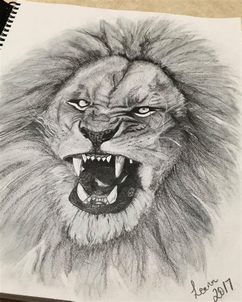 lion drawings  ai
