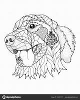Golden Retriever Dog Zentangle Coloring Stress Anti Vector Illustration Book Adults Stock Pages Stipple Style Adult Kids Depositphotos Choose Board sketch template