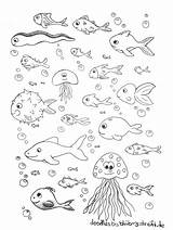 Fische Fisch Malen Malvorlagen Vorlagen Viele Fur Ausschneiden Kreativitat Deine Fischlexikon Tiervorlagen sketch template