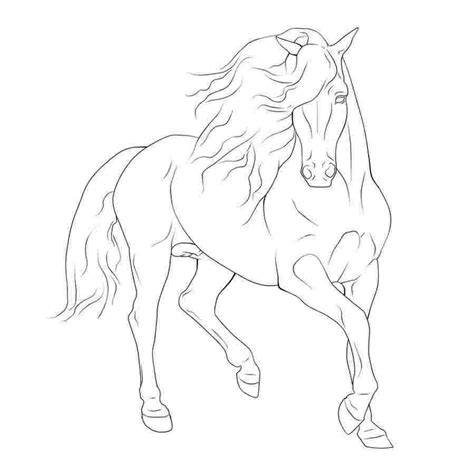 horse drawing coloring page running arabian horse coloring page