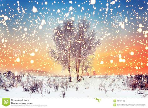 Winter Christmas Background Magic Snowflakes Fall On Snowy Meadow With