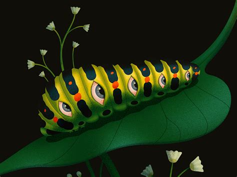 caterpillar  ana miminoshvili  dribbble