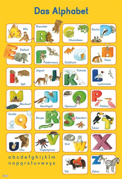 xenos carlsen verlag alphabet deutsches alphabet lesen lernen