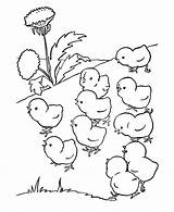 Coloring Farm Pages Animals Kids Chicks Baby Popular Animal sketch template