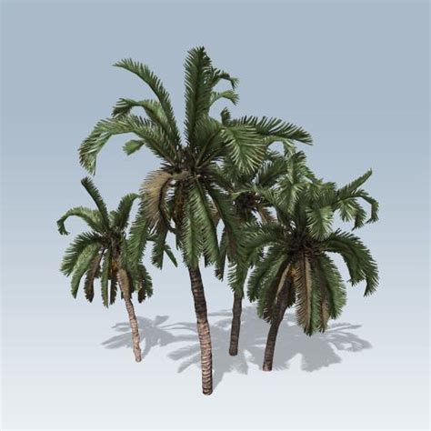 date palm  speedtree