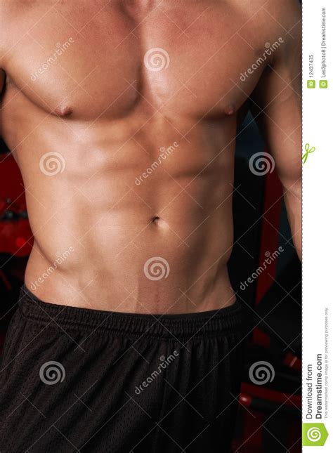 gym body stock image image  male healthy torso fitness