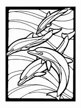 Dolphin Dolphins Dauphin Coloriages Teenage Frank Stained sketch template