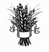 Sheaf Wheat Clipart Coloring Pages Schaff Herb Clipground Rye Eggplant Pepper Vector sketch template