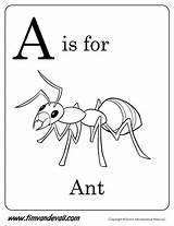 Ant Preschool Printables Ants Timvandevall sketch template