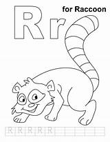 Raccoon Coloring Pages Letter Practice Color Handwriting Preschool Worksheets Kids Learn Will Alphabet Printable Information Toodler Write Reading Activities Popular sketch template