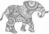 Elefanten Elephants Elefantes Erwachsene Elefanti Zentangle Paisley Elefante Malbuch Adulti Justcolor Majestic Farahzahidah11 Motifs sketch template