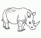 Coloring Rhinoceros Pages Printable Kids sketch template