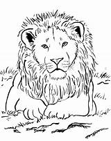 Lion Mountain Coloring Pages Getcolorings Printable Lions sketch template