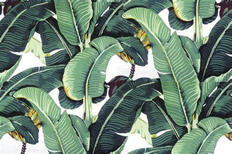 banana leaves wallpapers wallpapersafari