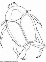 Beetle Coloring Japanese Pages Sheet Animal Drawing sketch template