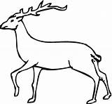 Deer Coloring Pages Buck Animals Red Clip sketch template