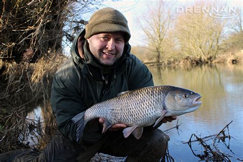 traditional bread tactics fool huge chub drennan international