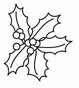 Christmas Da Colorare Agrifoglio Immagini Coloring Per Pages Mistletoe Book Stencil Patterns Risultati Colors Google Noel Kids sketch template