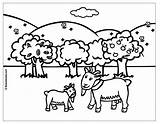 Chevre Cabras Nanny Goats Vre sketch template