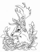 Coloring Deer Pages Adult Printable Adults Etsy Animals Au sketch template