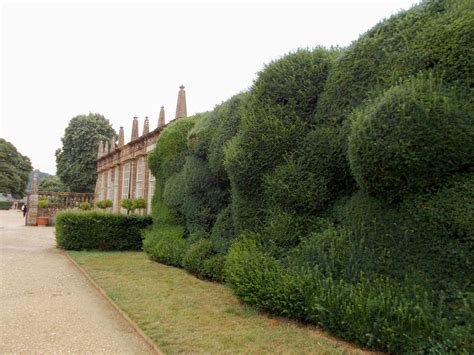 beaten track  somerset wibbly wobbly hedges montacute house