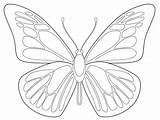 Coloring Sheets Symmetry Popular sketch template