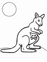 Kangaroo Coloring Pages Kids sketch template