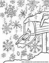 Coloring January Winter Pages Printable Sports Crayola Detailed Getcolorings Color Snowflakes Wonderland Pag Print Colorings Getdrawings sketch template