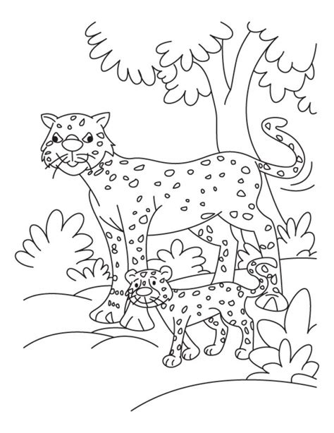 cute baby cheetah coloring pages abm