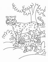 Coloring Cheetah Pages Baby Sheets Cute Cub Printable Kids Cheetahs Color Print Kleurplaat Library Clipart Popular sketch template