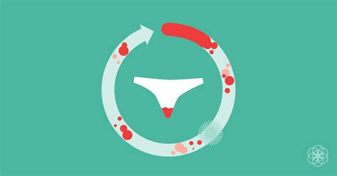 schmierblutungen und blutungen zwischen den menstruationsblutungen