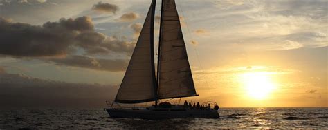 yacht sunset google search  images sailing boat yacht