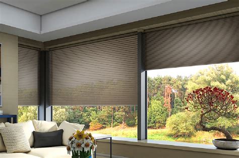 aussies hub  reasons  invest   motorized roller blinds