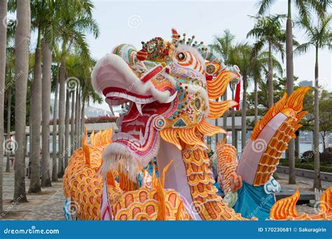 chinese dragon  chinese  year  hong kong stock image image  multi kong