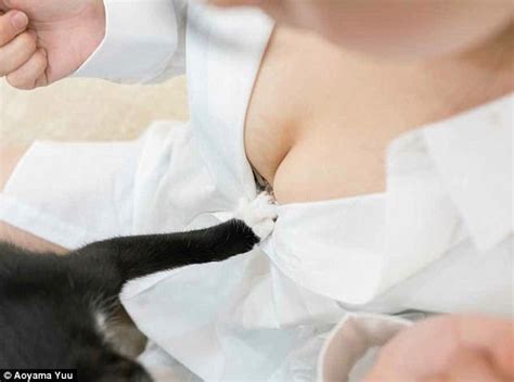 Japanese Photographer Releases Book Of Breasts And Cats Daily Mail Online