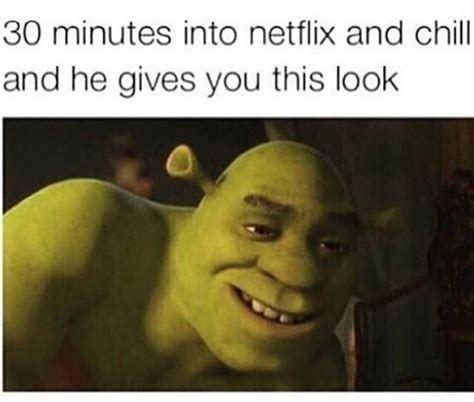 shrektastic netflix and chill know your meme