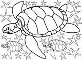Colouring Starfish Turtles Beach Seaside Summer sketch template