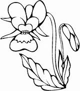 Flori Coloriage Orchidee Colorat Desene Cu Violette Colorir Orchid Dessin Imprimer Planse Orquidea Coloriages Copii Ludinet Ranunculus Trafic sketch template